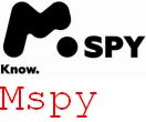 Czy Mspy Google Nawigacja